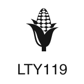 LTY119 - Trodat Printy 4921